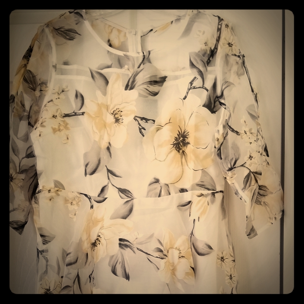 Chiffon dress